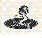 Uživatelský avatar