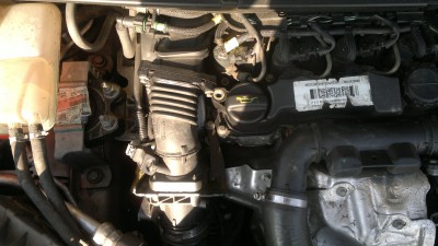 bez09042012665.jpg
