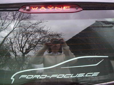 P4190277zmenšený Wayne nápis.jpg