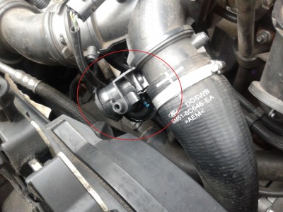 20120620_183255.jpg