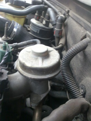 250620121258.jpg (39.57 KiB) Zobrazeno 4867 x Fotky