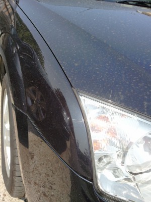 20120703_104025.jpg