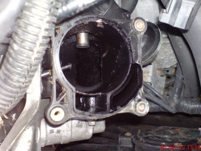 Pohled do zaneseného sání