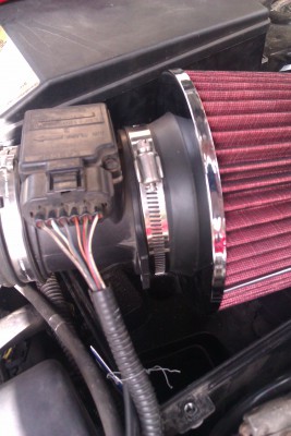 IMAG0102.jpg