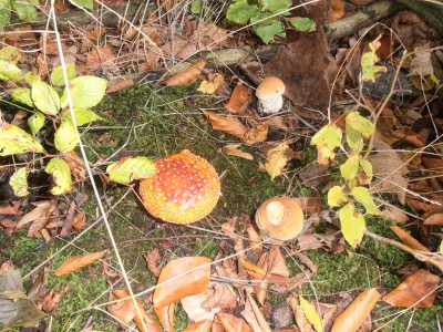 Trojmezí 2012 172.JPG