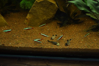 DSC_1399.JPG