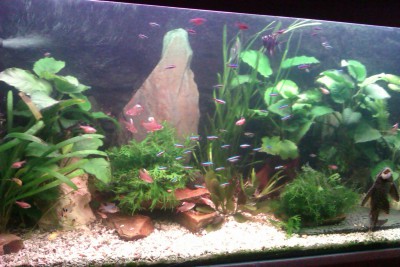 IMAG0514.jpg