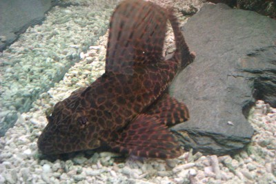 IMAG0400.jpg