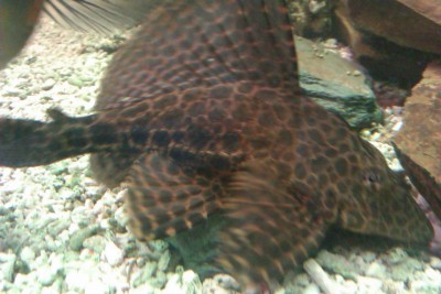 IMAG0401.jpg