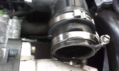 IMAG0060.jpg