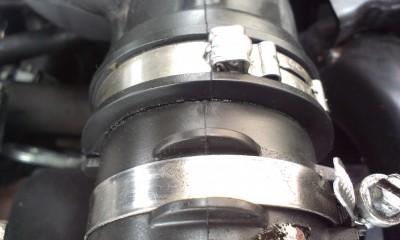 IMAG0061.jpg
