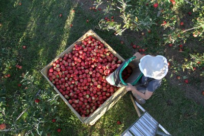 plný bin máme nejradší :)