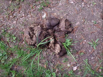 P1070072.JPG (169.52 KiB) Zobrazeno 1236 x lejno