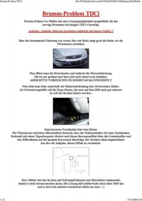 brumm-problemtdci.jpg