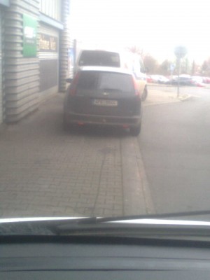 Obraz0232.jpg
