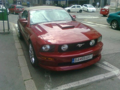 Photo0334 mustang.jpg