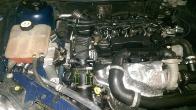 IMAG0971.jpg