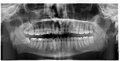 HOFFMANN^PETR_000 – kopie.JPG