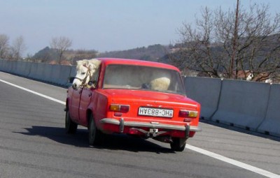 transport2.jpg