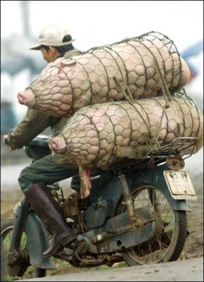 transport3.jpg