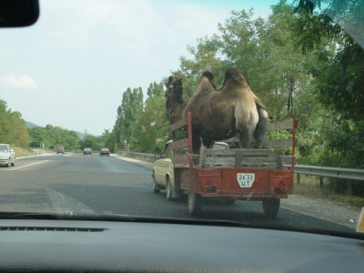 transport4.jpg