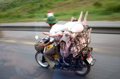 transport5.jpg