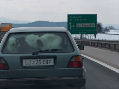 transport6.jpg