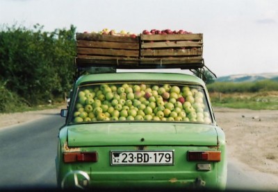 transport8.jpg