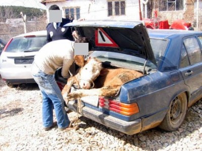transport13.jpg