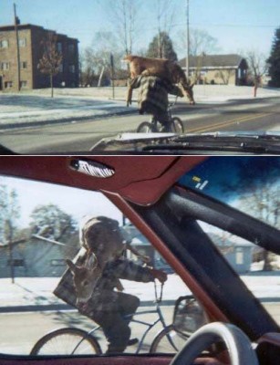 transport16.jpg