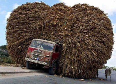 transport20.jpg