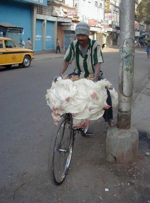 transport21.jpg