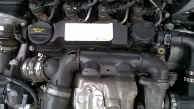 16426255_1476841162328012_28078528550085212_n.jpg