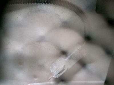 IMG_20170304_170320_HDR.jpg (104.62 KiB) Zobrazeno 6388 x konektor pod oknem