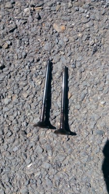 IMG_20170501_133343.jpg