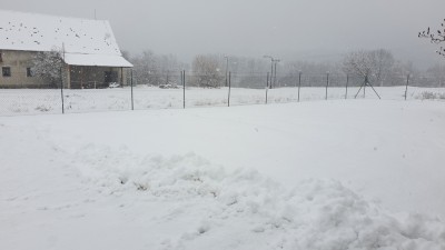 bilej sajrajt.jpg