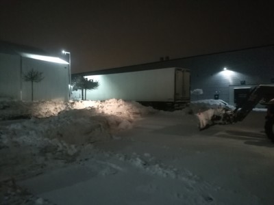 IMG_20190204_054816.jpg