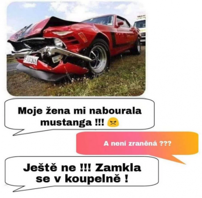 naburany mustang.png