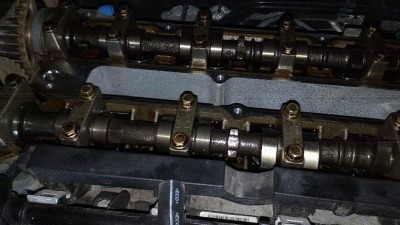 IMG_20200404_082759.jpg