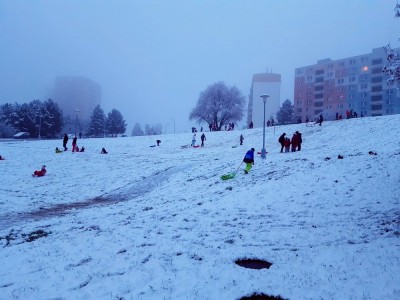 20210106_155113a.jpg