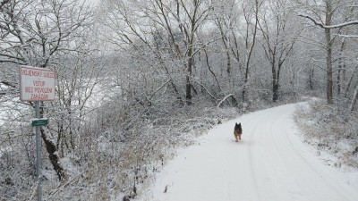 202112a.jpg