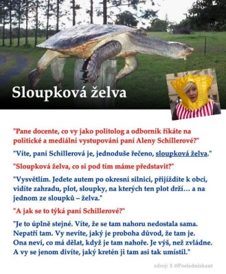 zelva.JPG
