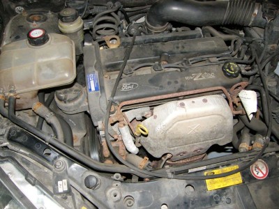DSCF0295.jpg