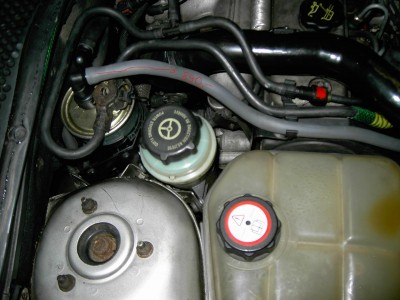 PICT3975ab.JPG
