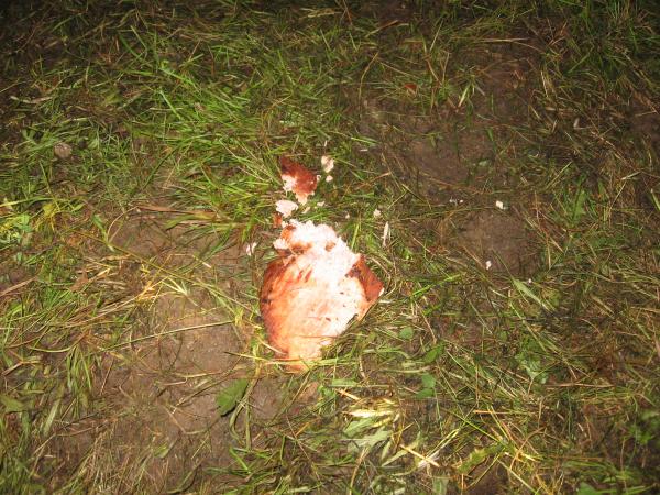 špatně naložené.jpg