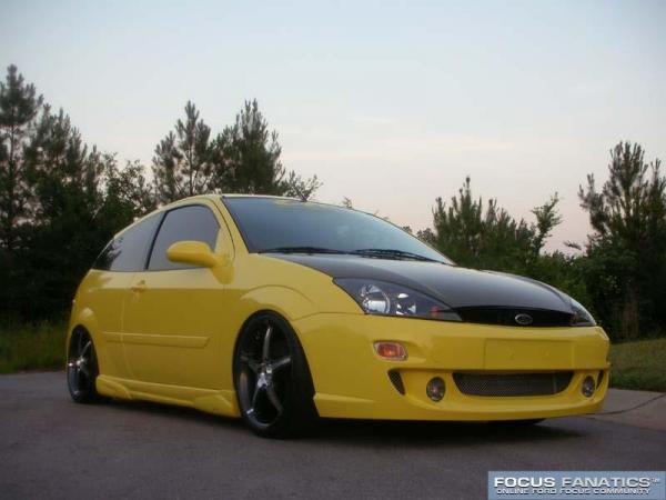 5401focuslowf-b_1_.jpg