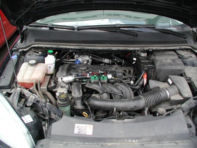 P1010003.JPG