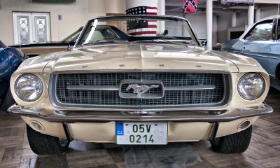 mustang.jpg