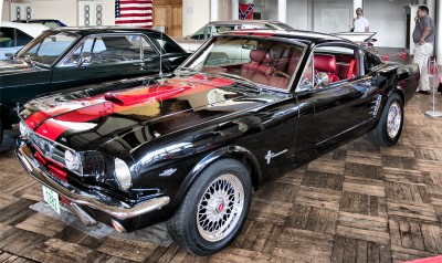 mustang1.jpg