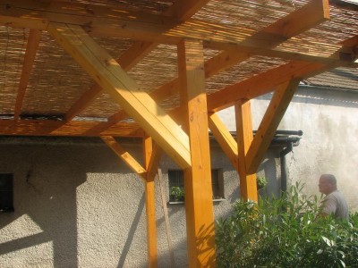 IMG_8806.jpg